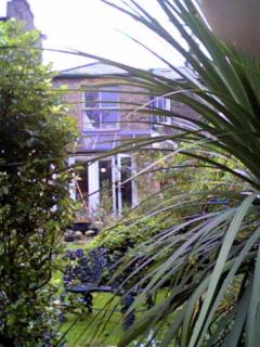 Click for more pictures of Laura Morland's designs